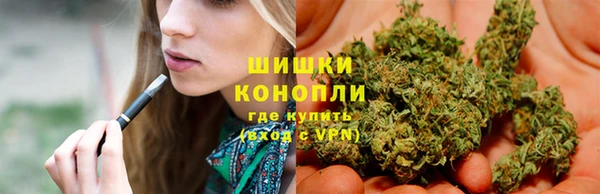 винт Липки