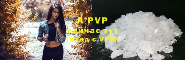 mdpv Волоколамск