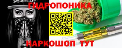 стаф Бийск