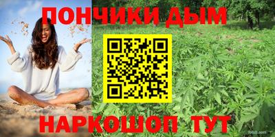 стаф Бийск