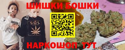 гидра Беслан