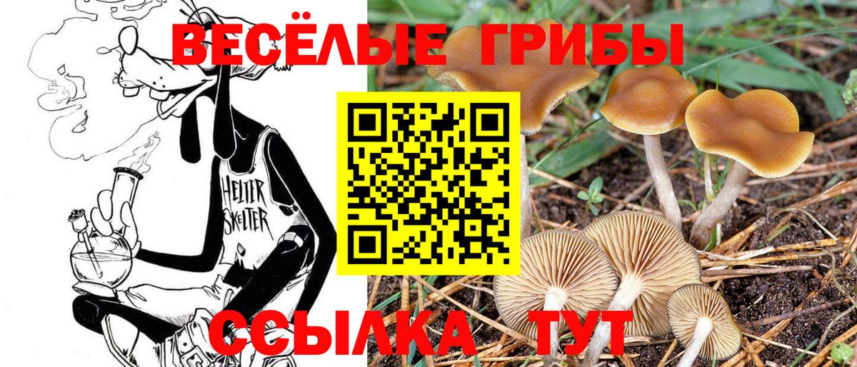 Галлюциногенные грибы мухоморы  Вход с VPN  Дивногорск 