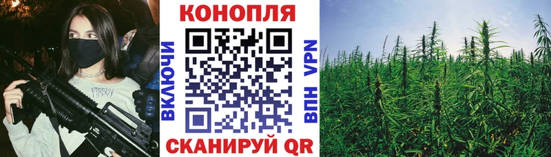 маркетплейс как зайти  Дивногорск  МАРИХУАНА семена 